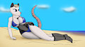 Cybopossum on the Beach by Boony