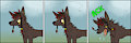 The Graceful Jackal