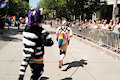 Drako at Pride 2019 by jmac32here