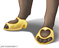 Dog shoes