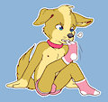 Joshy Socks :3 by kibaru