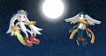 A wind battle in the midnight sky