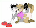 Pet play gone too far
