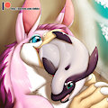 Dolphin Snack by Shikka