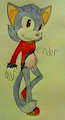 Cinder the Cat