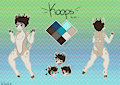 Koops
