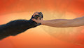 Touch by Huskyman