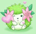 Shaymin Chibi