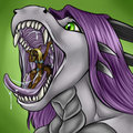 dragon noms