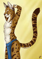 Spottacus (Coloured Sketch) by korrok