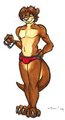 Rokuke Speedo