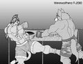 Fatal Fury by Werewolfhero