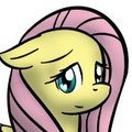 two random ponies