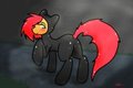 Sneaky lil Filly