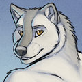 Tsai - New Icon