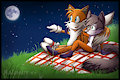 Moonlight Picnic