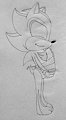 Shadow's Egg Carrier