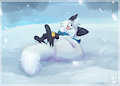 Lets Roll in the Snow!