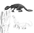 [Character Design] Little Alien Lizzard