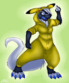 wheresmypikabooz