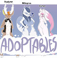 *SOLD OUT*_Mega evolutions 1/7