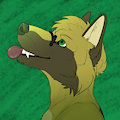 Kyle Icon