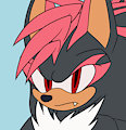 Scar the Hedgehog (Ref sheet)