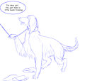 New Afghan hound