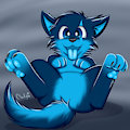 Cloufy Tummy
