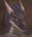 Portrait Commission no1 by AJF