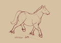 Chubby Horse