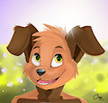 Ony