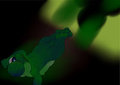 Yoshi walks into a bar