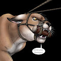 Tovu Muzzled