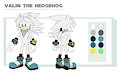Valin the Hedgehog(Commission)