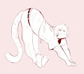 Kitty Stretch!