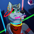 Party All Night Long