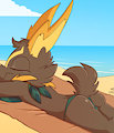 *W*_Beach bun