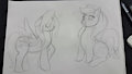 Comm: Flitter and Fritter