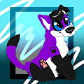Sits