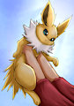 Jolteon Lift
