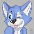 Icons Tests by Teedraws
