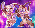 Chihuahua Gals