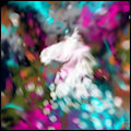 Colors Horse