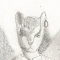 Angel Cat