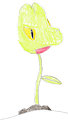Treecko Gets... Planted?