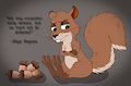 Grumpy Squirrel