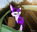 Car Ride