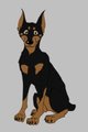 Doberman Animation