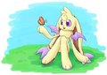 Butterdoodle